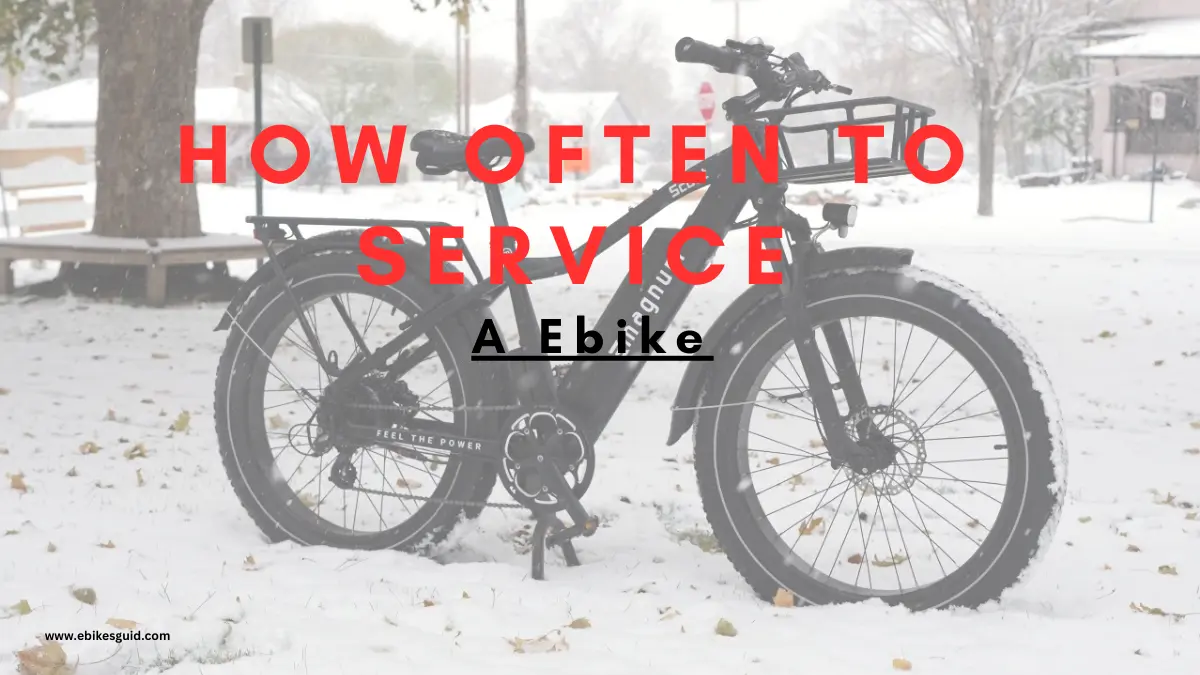 how often to service a ebike